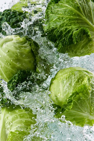 Fresh Cabbage Splash Photography Poster.
