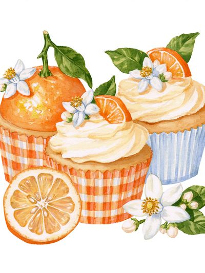 Orange Cupcakes Watercolor Print.