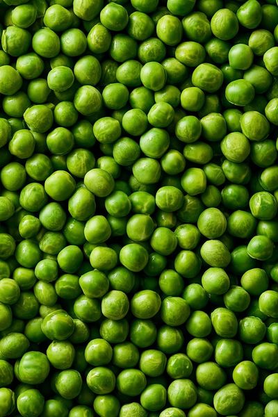 Green Peas Macro Photography Poster. poster print