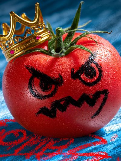 Crowned Tomato Surreal Print. poster