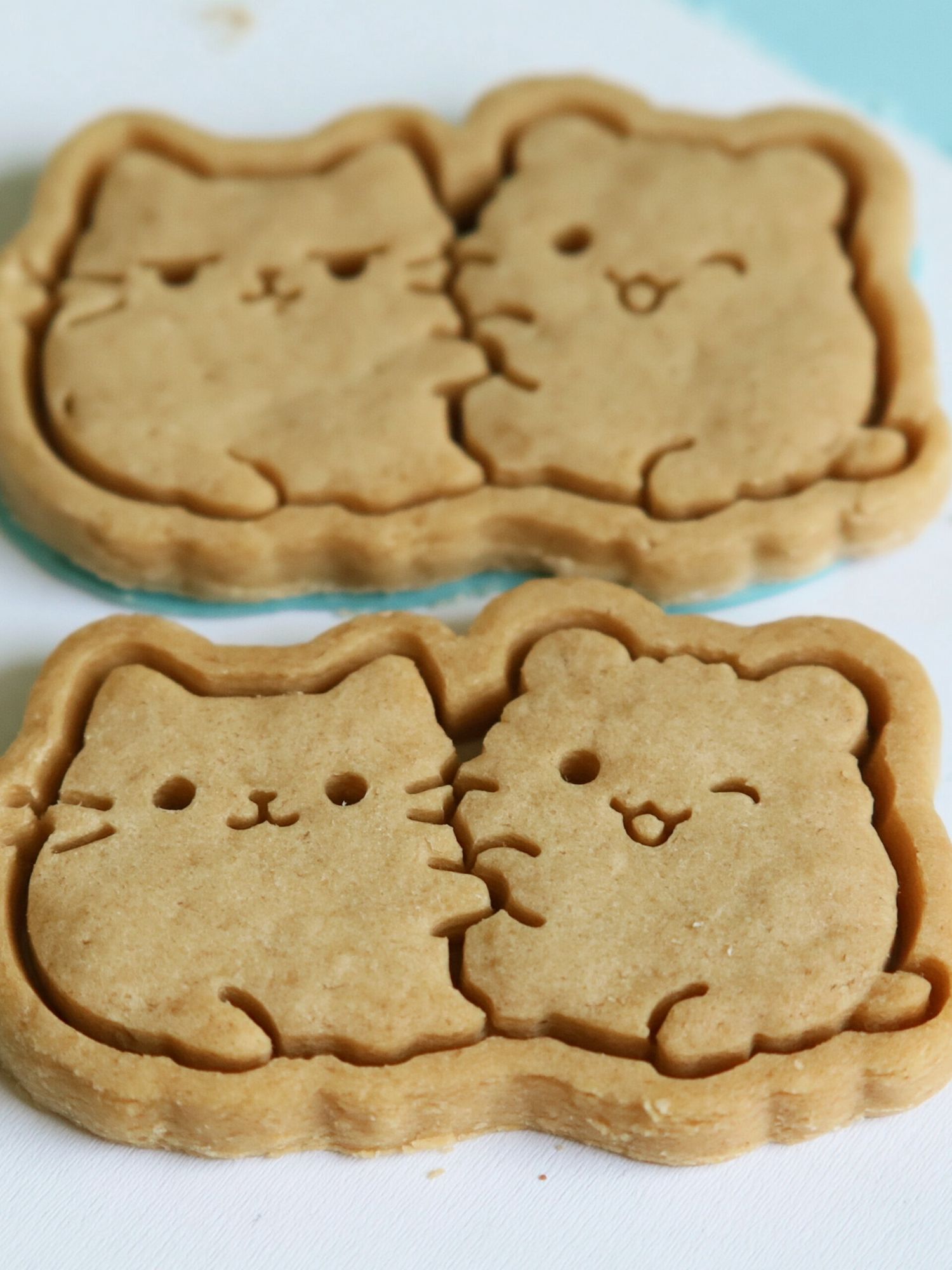 Cat Cookie Illustration Print. poster — food-drink art