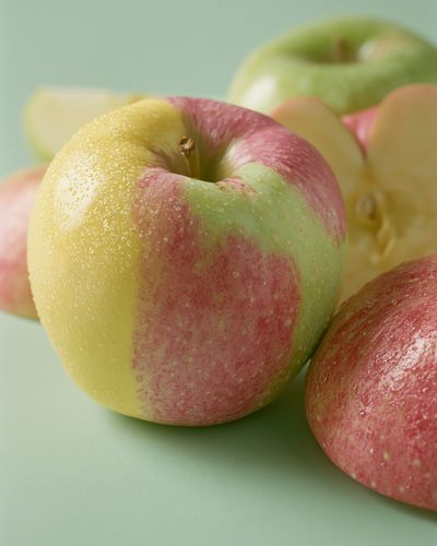 Pastel Apples Photography Poster. poster print