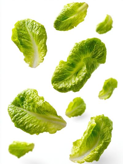Floating Lettuce Leaves Photography Poster.