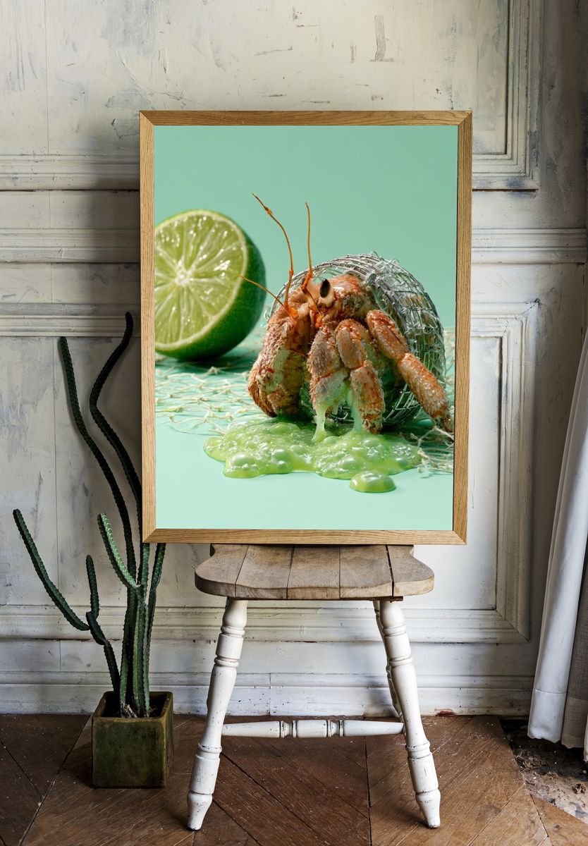 Hermit Crab and Lime Still Life Poster. — room view 1
