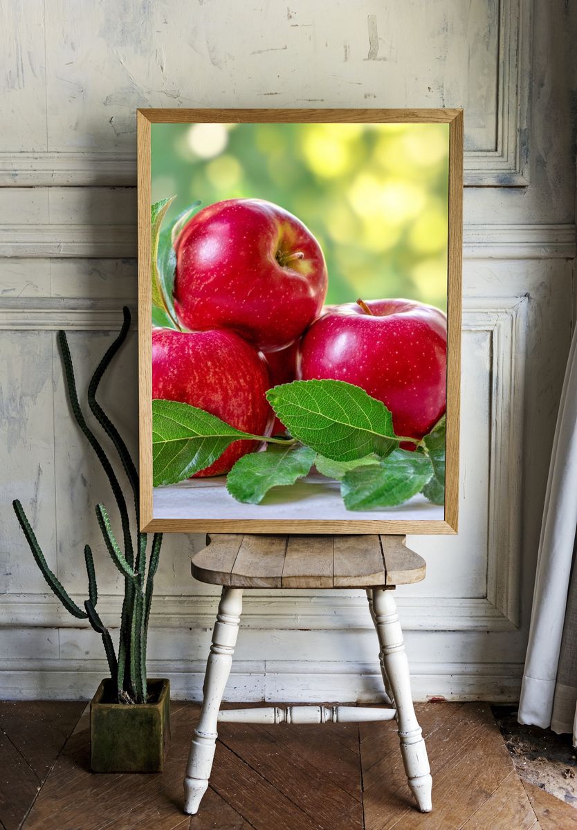 Red Apples Still Life Poster. — room view 1