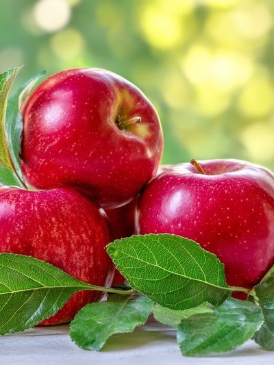 Red Apples Still Life Poster. poster print