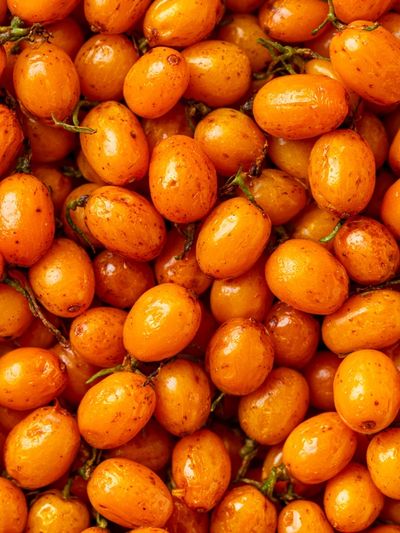 Orange Berries Still Life Print. poster