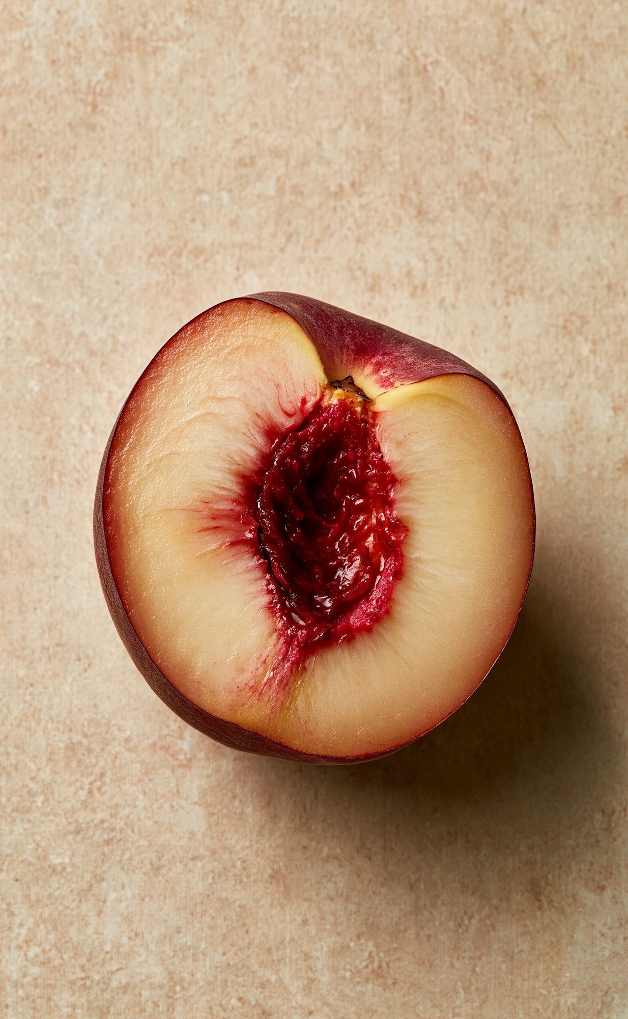 Ripe Peach Still Life Poster. poster — food-drink art