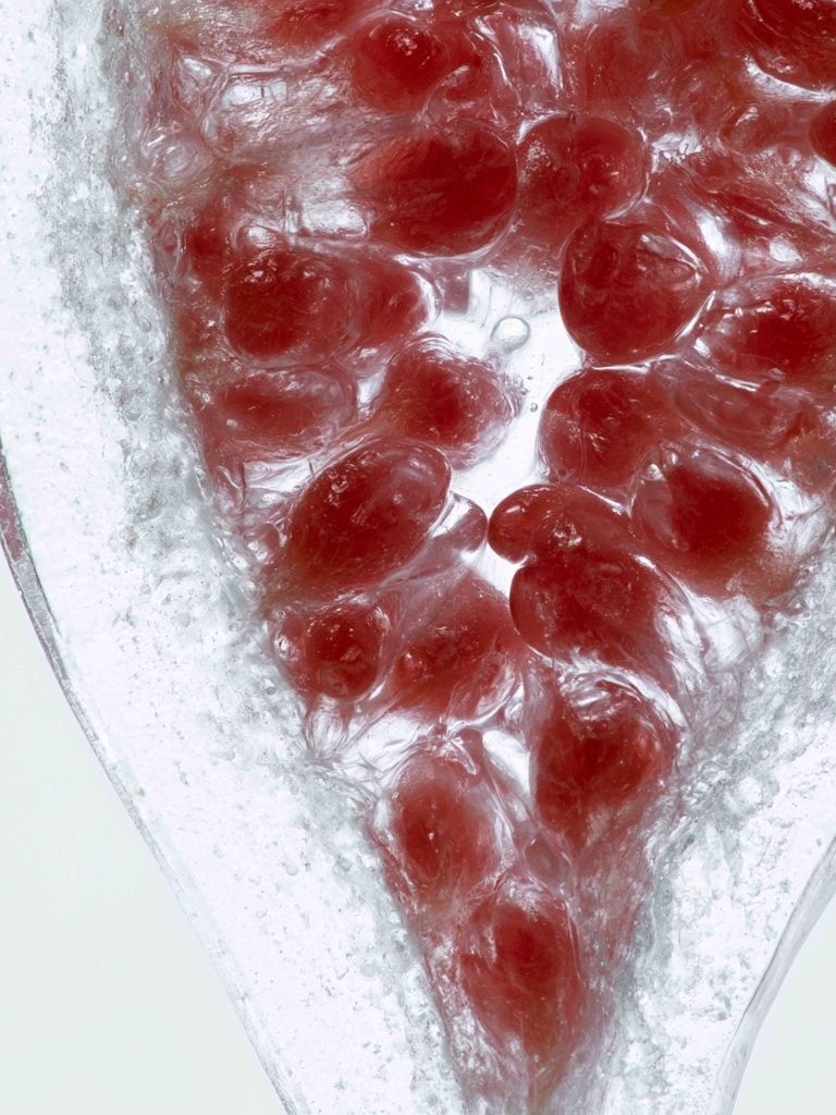 Pomegranate Ice Macro Photography Poster. poster — food-drink art