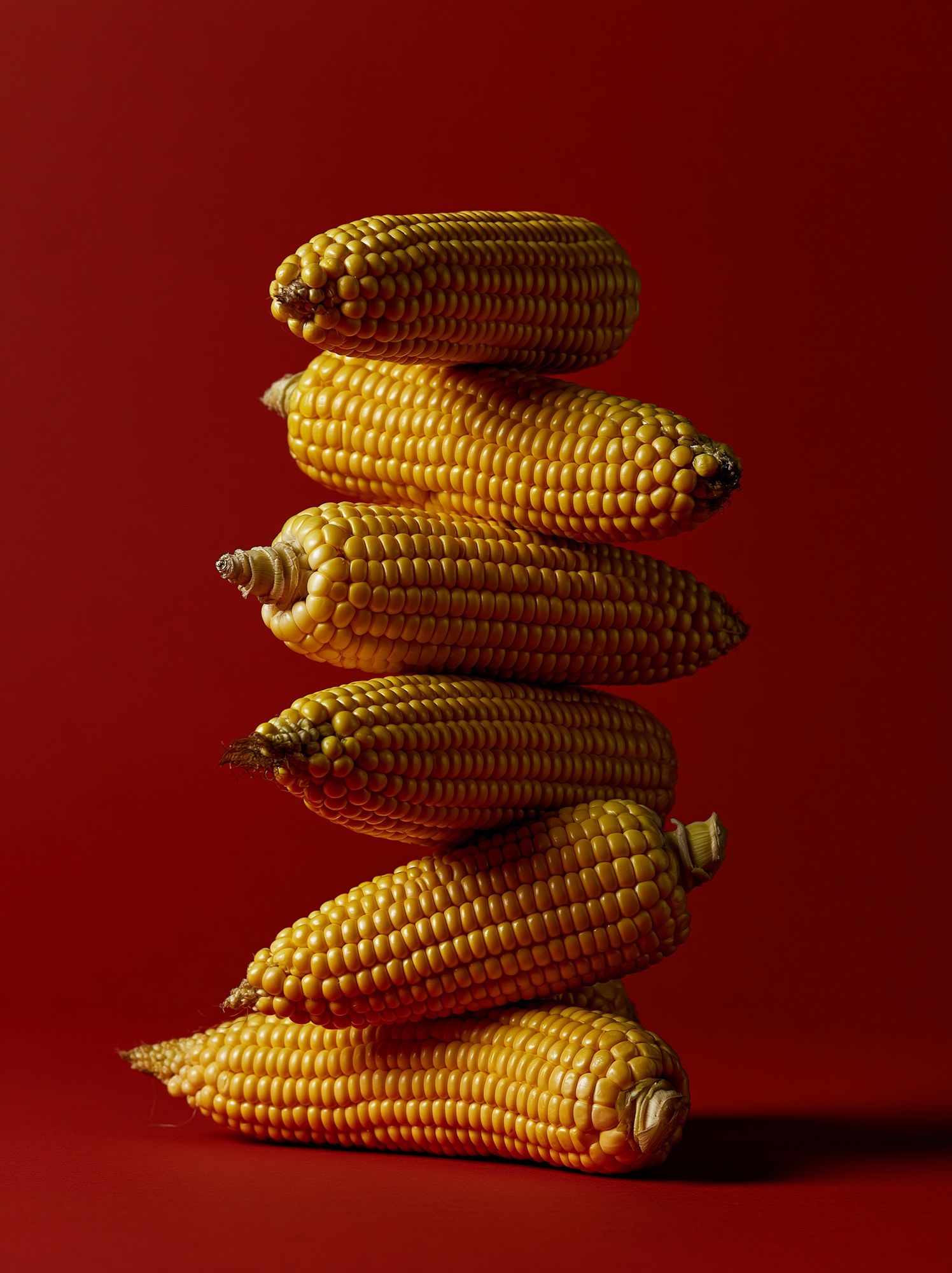 Stacked Corn Still Life Poster. poster detail