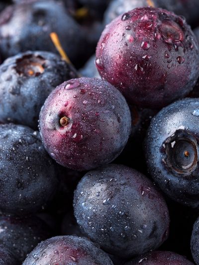 Wet Blueberries Photography Poster. poster print