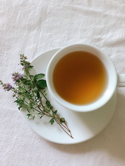 Herbal Tea Still Life Print.
