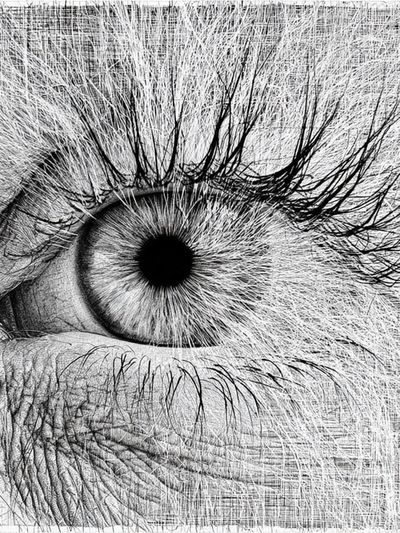 Human Eye Sketch Poster. poster