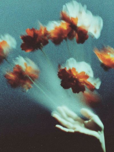 Floating Flowers — Fine Art Print. poster