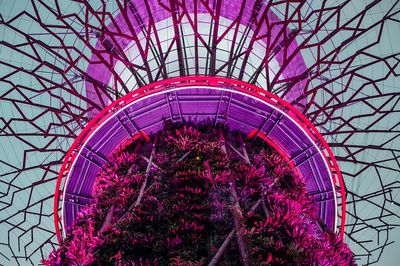 Futuristic Garden — Photography Print. poster print