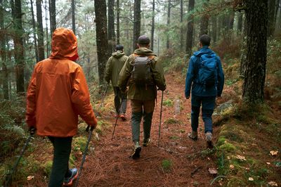 Forest Hikers Photography Poster. poster