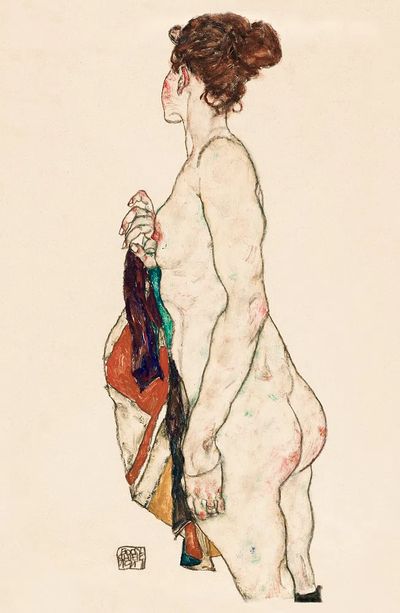 Standing Nude woman Patterned Robe. poster print