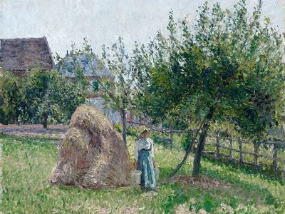 Apple trees Eragny, sunny morning. poster print