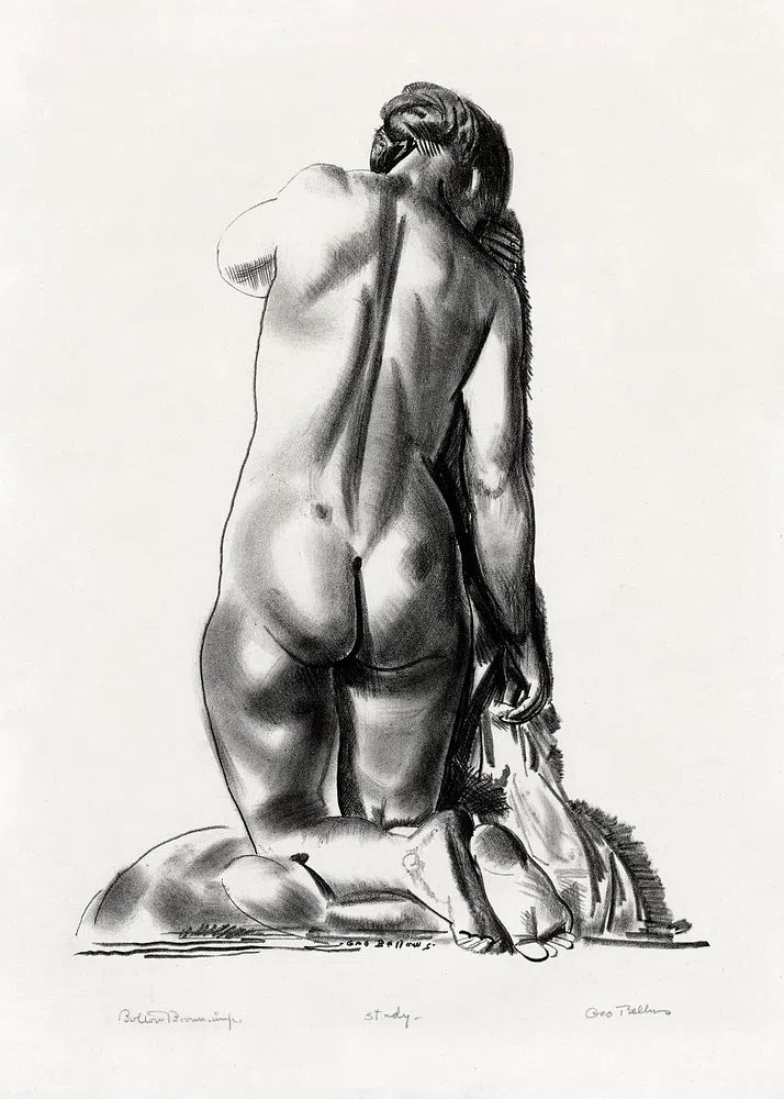 Figure Study Ink Drawing Poster. poster — fine-art art