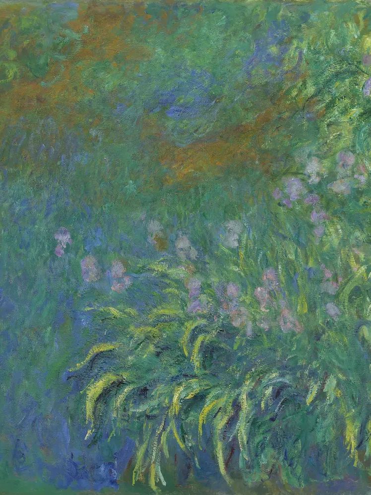 Irises by Claude Monet. poster — fine-art art