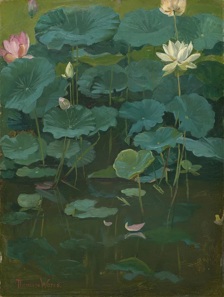 Buddha's Flowers: Lotus, Tokyo (1894). poster — fine-art art