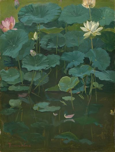 Buddha's Flowers: Lotus, Tokyo (1894). poster print