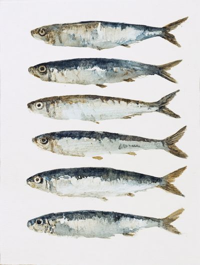 Watercolor Fish Illustration Poster. poster