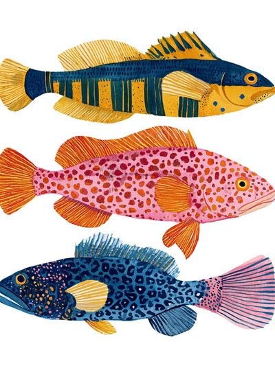 Colorful Fish Illustration Poster. poster print