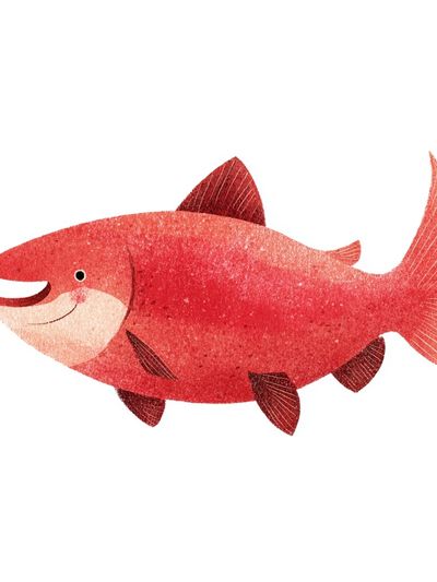 Happy Salmon Illustration Poster. poster print
