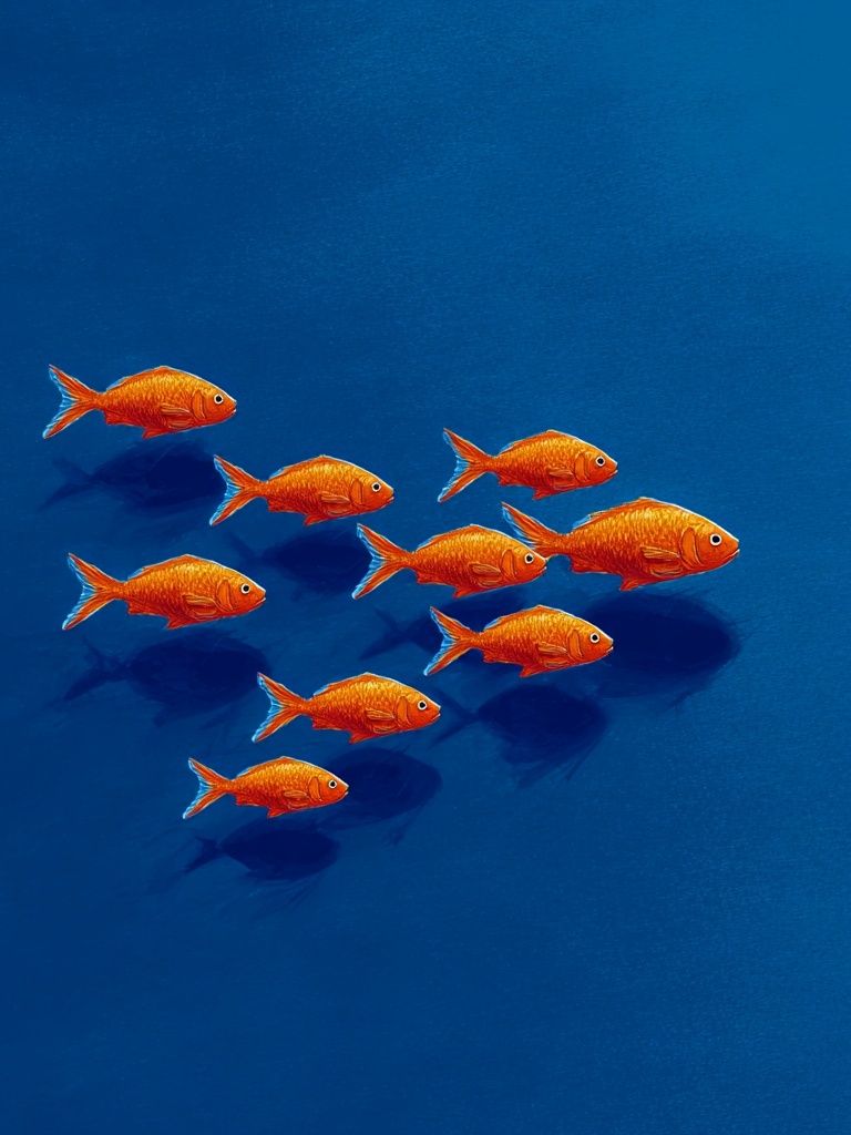 Goldfish Schooling — Illustration Print. poster detail