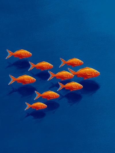 Goldfish Schooling — Illustration Print. poster