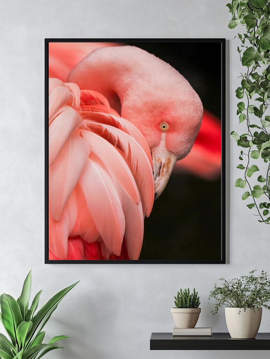 Flamingo Close-Up Photography Poster. — room view 4