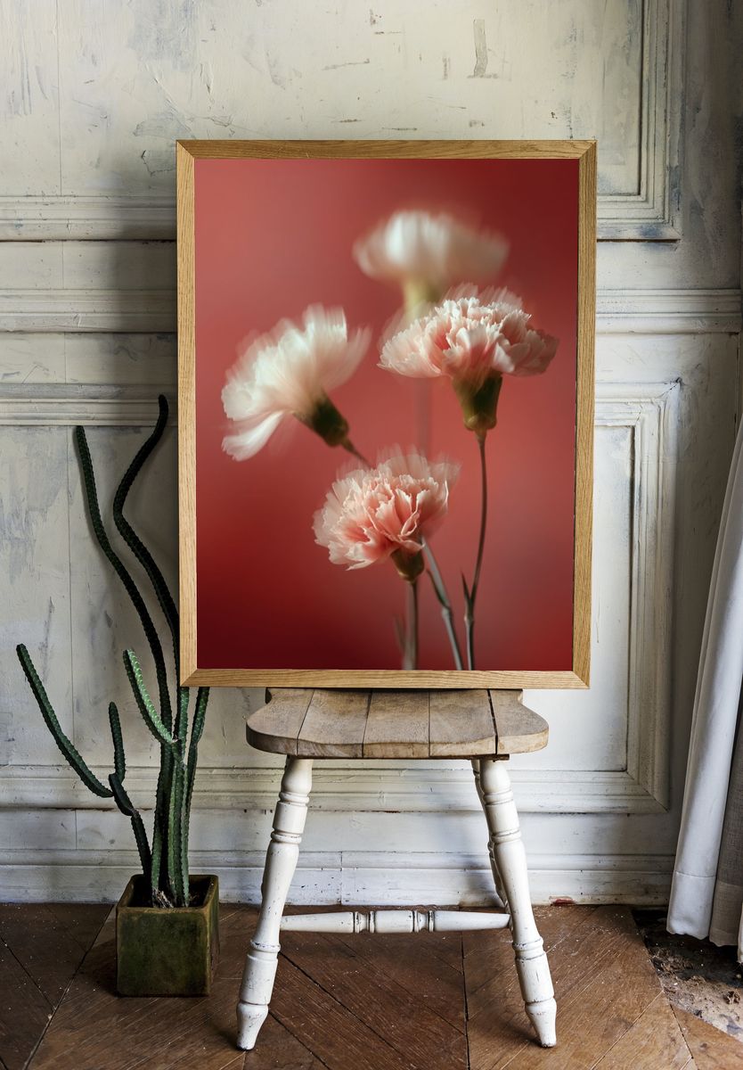 Soft Pink Carnations — Floral Print room preview