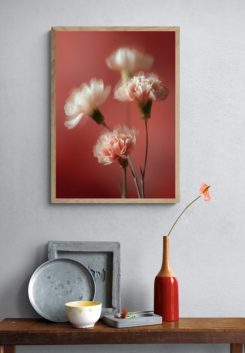 Soft Pink Carnations — Floral Print. — room view 3