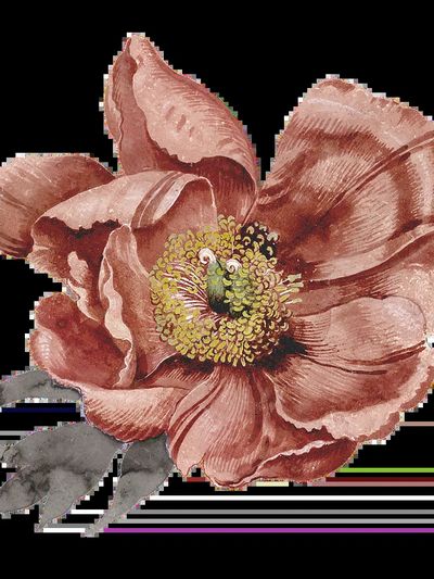 Vintage Floral Watercolor Poster. poster print