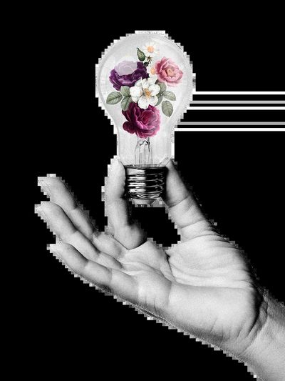 Floral Light Bulb — Illustration Print. poster print
