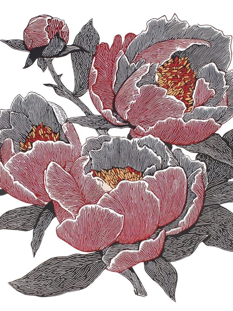 Peony Floral Illustration Poster. poster — botanical art