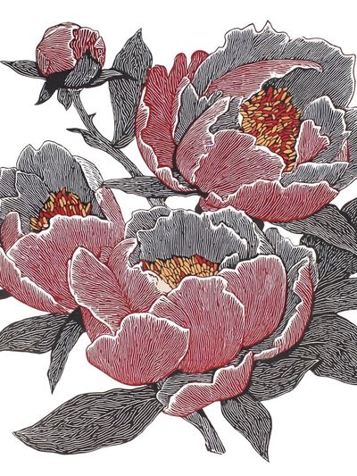 Peony Floral Illustration Poster. poster