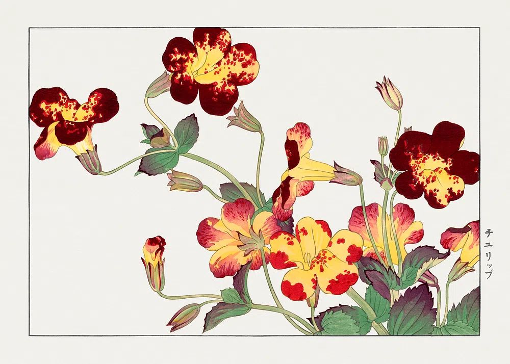 Charming Floral Illustration Poster. poster detail