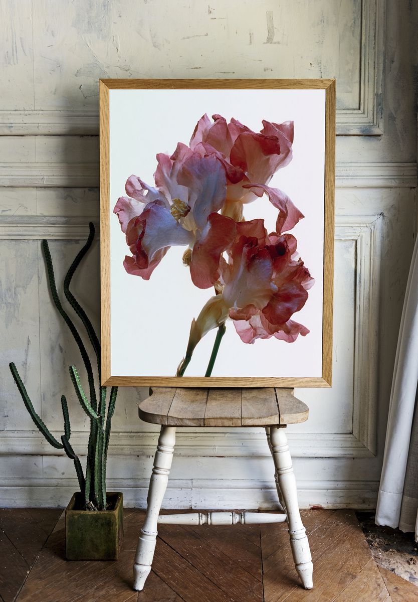 Delicate Floral Art Print. — room view 1