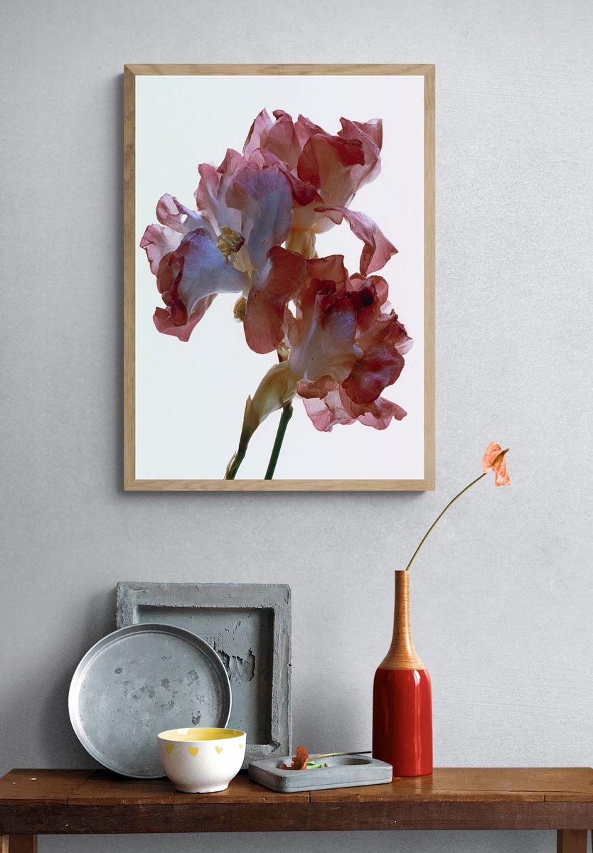 Delicate Floral Art Print. — room view 3