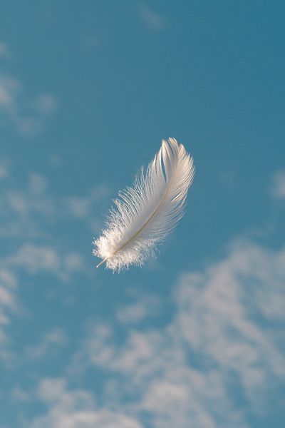 Floating Feather Sky Poster. poster print