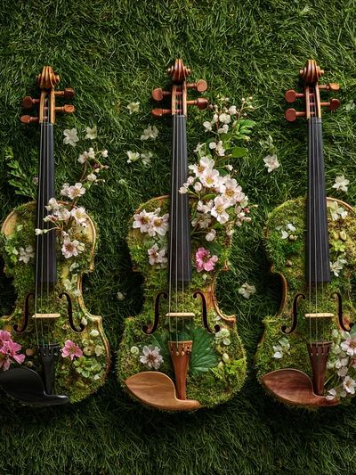 Floral Violin Trio — Nature Print.