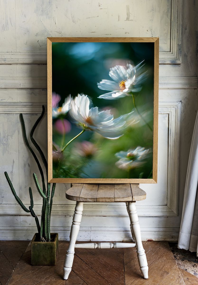 Delicate White Flowers — Photography Print. — room view 1