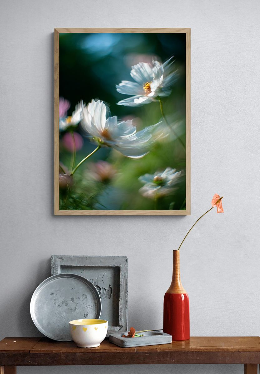 Delicate White Flowers — Photography Print. — room view 3