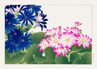 Vibrant Floral Watercolor Poster. poster print