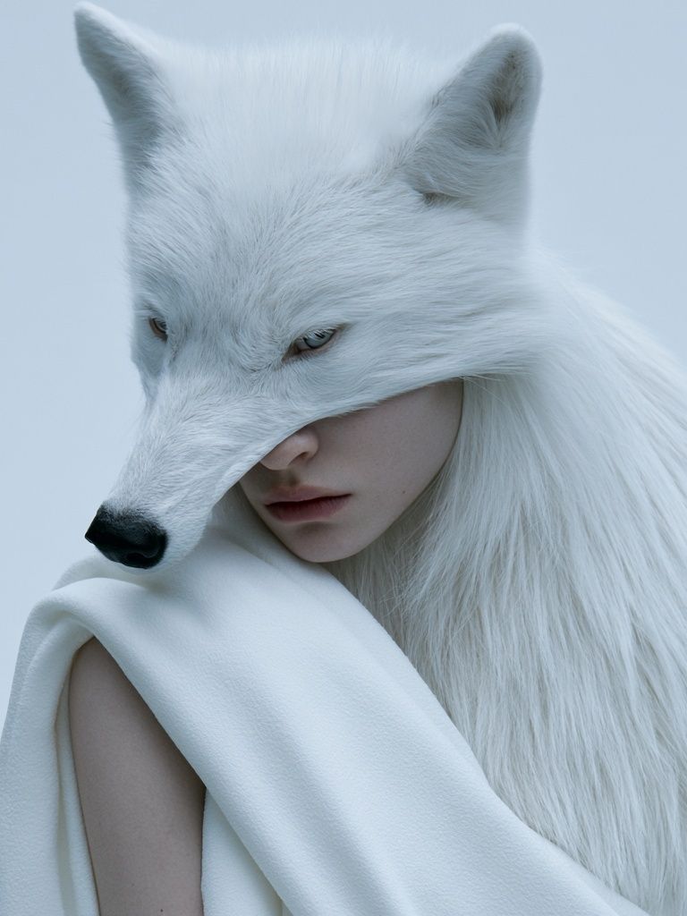 White Fox Portrait Print. poster — fine-art art