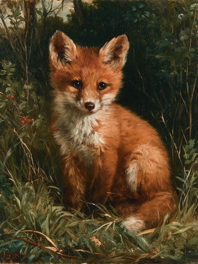 Fox Cub in the Forest Print.