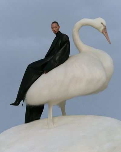 Fashion Swan Portrait Print. poster