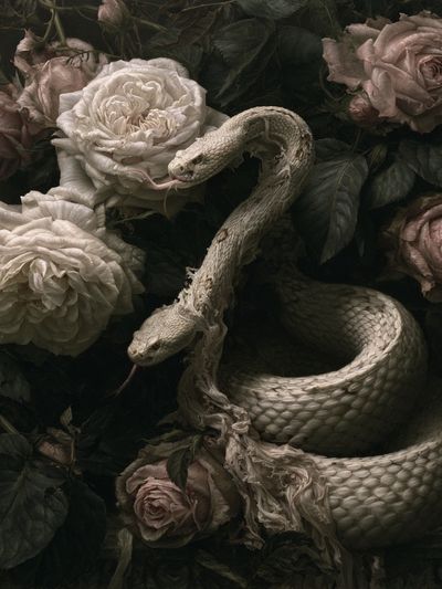 Serpent and Roses Surrealism Print. poster